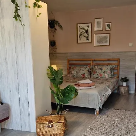 Wakacyjne Topos One Apartment *